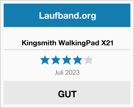  Kingsmith WalkingPad X21 Test
