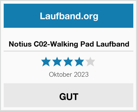  Notius C02-Walking Pad Laufband Test