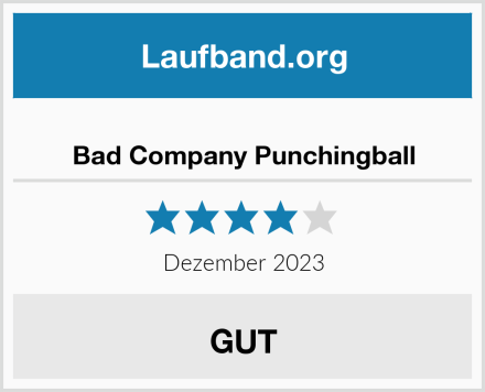  Bad Company Punchingball Test