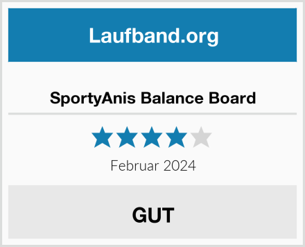  SportyAnis Balance Board Test