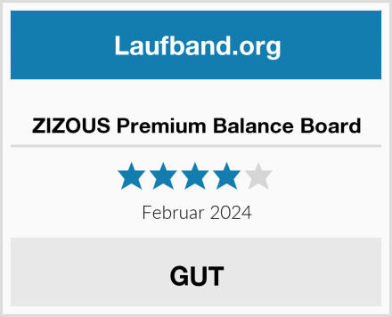  ZIZOUS Premium Balance Board Test