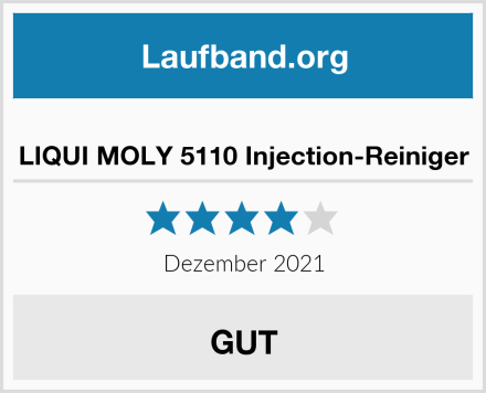  LIQUI MOLY 5110 Injection-Reiniger Test