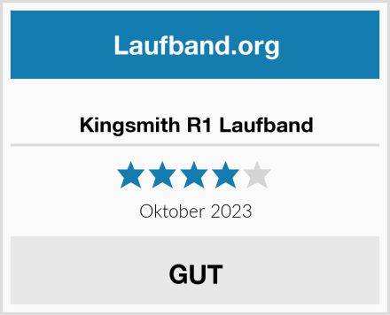  Kingsmith R1 Laufband Test