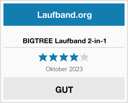  BIGTREE Laufband 2-in-1 Test