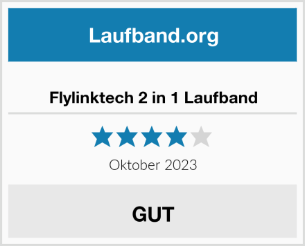  Flylinktech 2 in 1 Laufband Test