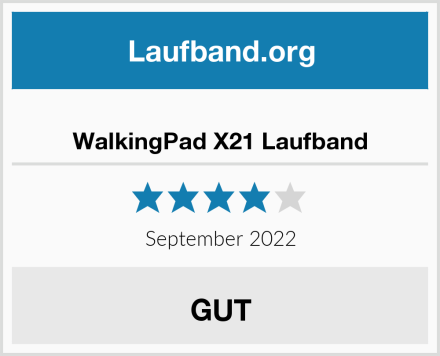  WalkingPad X21 Laufband Test