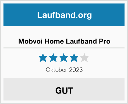  Mobvoi Home Laufband Pro Test