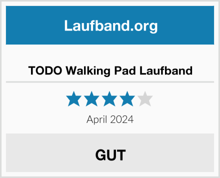  TODO Walking Pad Laufband Test
